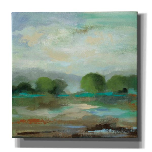 Unexpected Clouds I  by Silvia Vassileva, Canvas Wall Art Supply