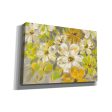 Scattered Spring Petals  by Silvia Vassileva, Canvas Wall Art Sale