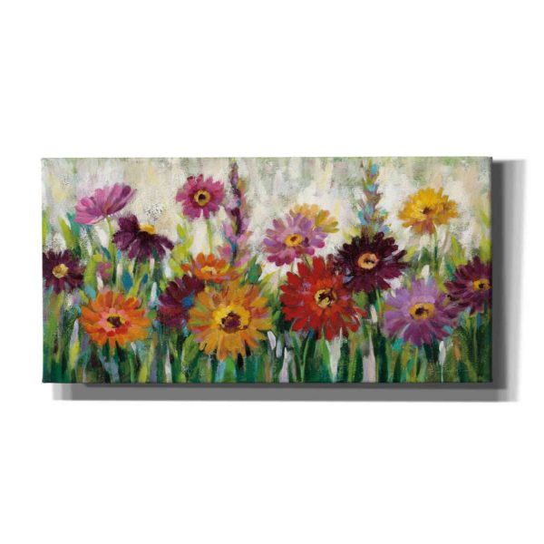 Jewel Daisy Gerbera  by Silvia Vassileva, Canvas Wall Art Online now