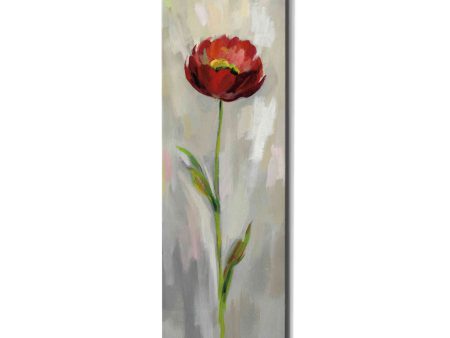 Single Stem Flower II  by Silvia Vassileva, Canvas Wall Art Online Hot Sale