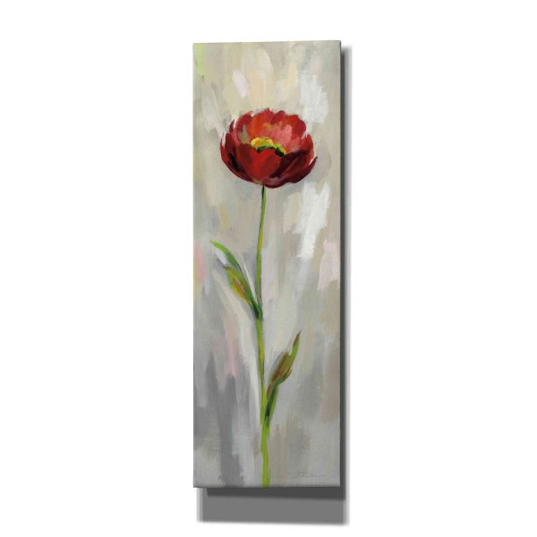 Single Stem Flower II  by Silvia Vassileva, Canvas Wall Art Online Hot Sale