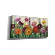 Jewel Daisy Gerbera  by Silvia Vassileva, Canvas Wall Art Online now