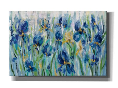 Iris Flower Bed  by Silvia Vassileva, Canvas Wall Art Online Sale