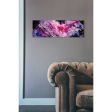 Watercolor Nebula Fushia  by Craig Snodgrass, Canvas Wall Art Online now