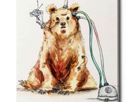 Ruxpin  by Craig Snodgrass, Canvas Wall Art Online now