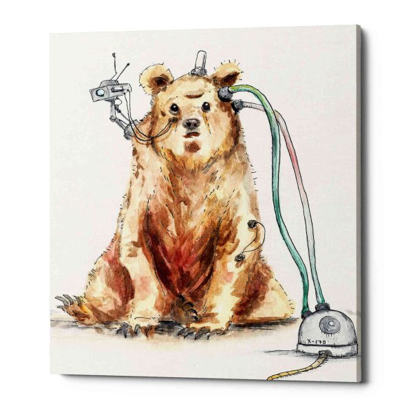 Ruxpin  by Craig Snodgrass, Canvas Wall Art Online now