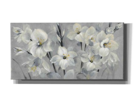 Flowers on Gray  by Silvia Vassileva, Canvas Wall Art Sale