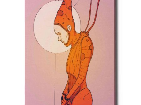 Alpha Omega Orange  by Craig Snodgrass, Canvas Wall Art Cheap