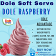 Dole Raspberry Soft Serve Mix - 4.4 Lbs. Bag - Case (4 X 4.4lb Bags) Online Sale