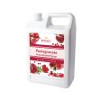 Pomegranate | Multi-Use | Bubble Tea Syrup | Fruit Puree | Fruit Smoothie Slushie Mix | Foodservice Canada Online now