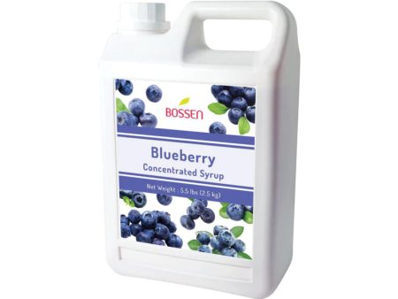 Blueberry | Multi-Use | Bubble Tea Syrup | Fruit Puree | Fruit Slush Smoothie Mix | Foodservice Canada Online