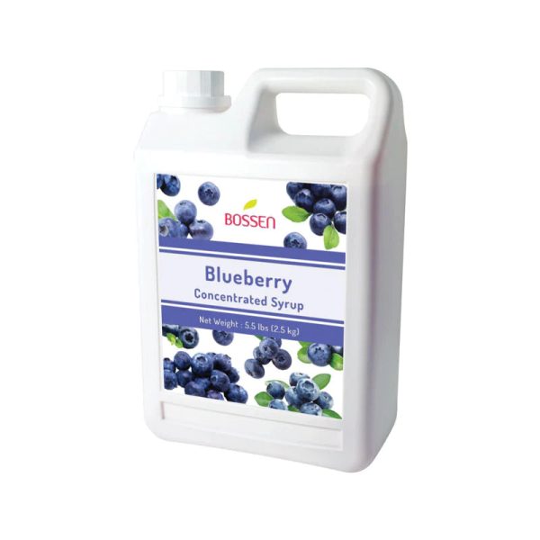 Blueberry | Multi-Use | Bubble Tea Syrup | Fruit Puree | Fruit Slush Smoothie Mix | Foodservice Canada Online