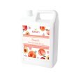 Peach | Multi-Use | Bubble Tea Syrup | Fruit Puree | Fruit Smoothie Slushie Mix | Foodservice Canada For Sale