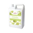 Honeydew | Multi-Use | Bubble Tea Syrup | Fruit Puree | Fruit Slush Smoothie Mix | Foodservice Canada Online Sale