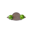 UFO Pin For Discount