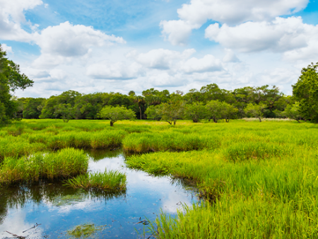 Wetlands Law and Development Post-Sackett v. EPA Online Hot Sale