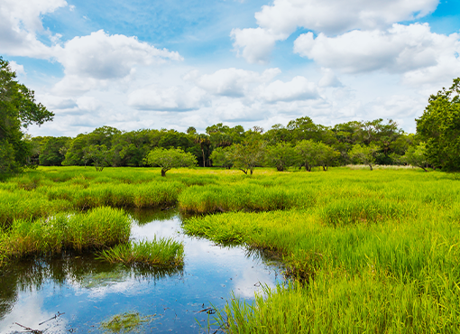 Wetlands Law and Development Post-Sackett v. EPA Online Hot Sale