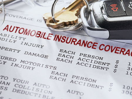 Auto Insurance Law Mini-Series Online