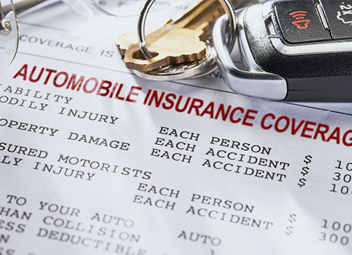 Auto Insurance Law Mini-Series Online