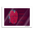 The Vision 13x19 Print Discount